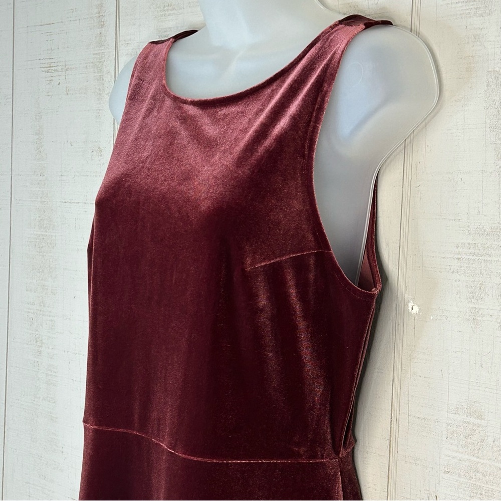 Express Womens Velvet Dress Size‎ M Stretch Knee Length Pull On Red Regencycore - Picture 3 of 8